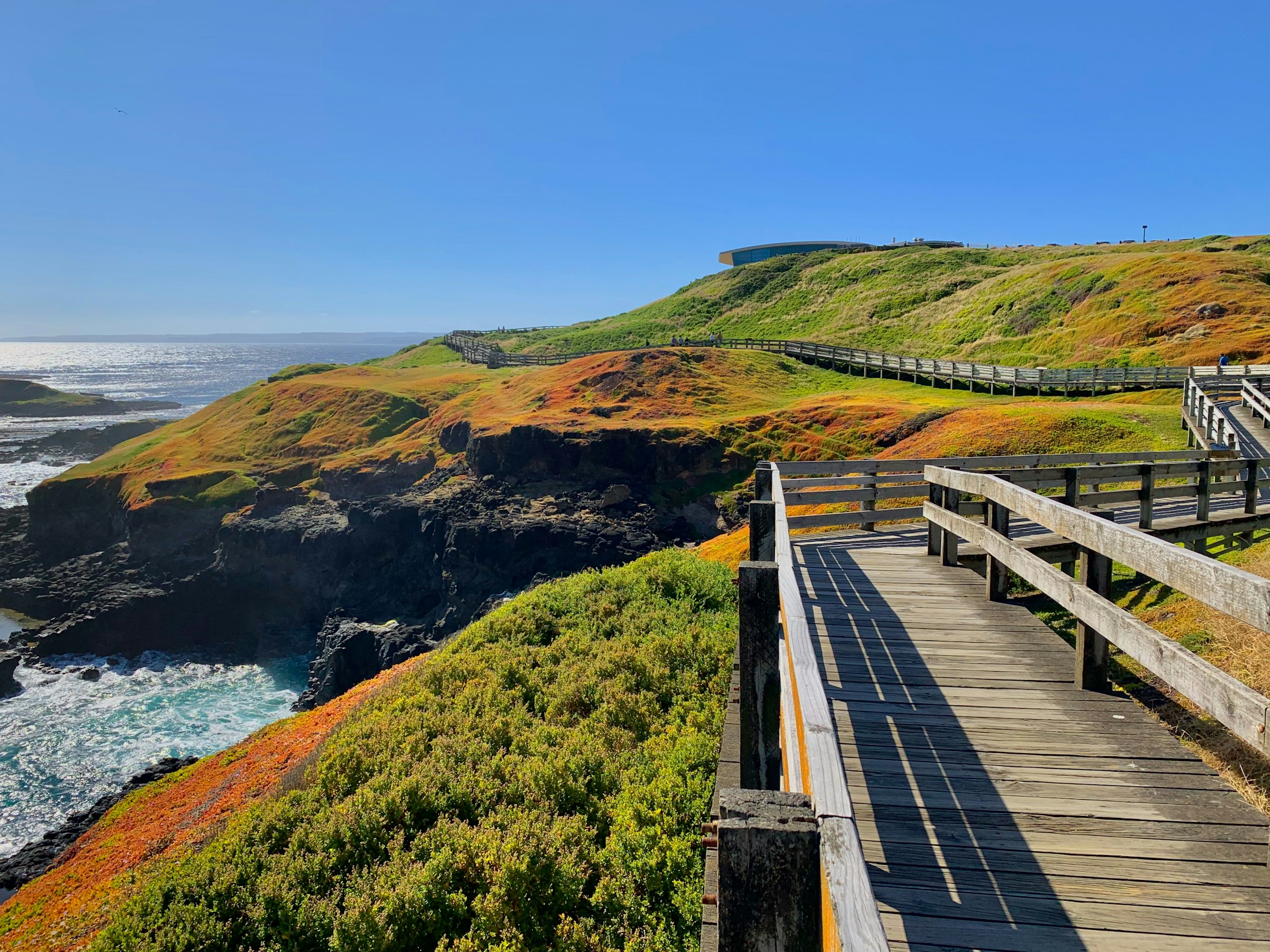The Nobbies boardwalk on the western tip of Phillip Island